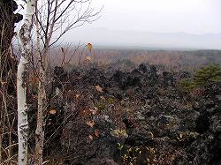 20061105-06kusatsu (19).jpg